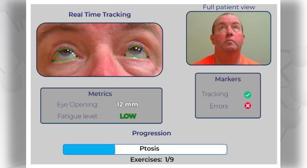 Screenshot of the graphic user interface used by doctors for remote examinations. Source: Bioengineering journal