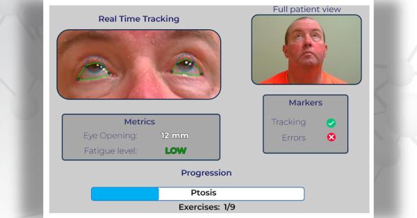 Screenshot of the graphic user interface used by doctors for remote examinations. Source: Bioengineering journal